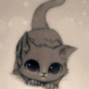 Meet your Posher, Salma